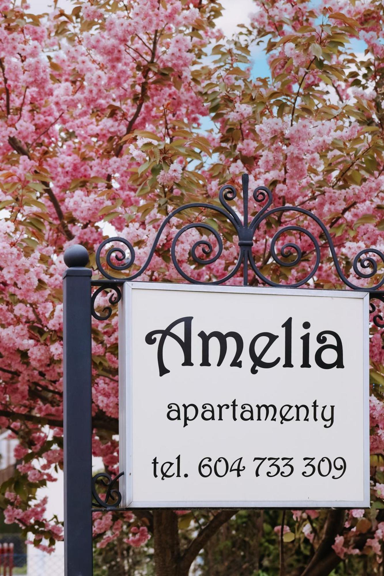 Amelia Apartamenty - Sala Zabaw, 2 Sypialnie, Garaz Podziemny Владыславово Экстерьер фото