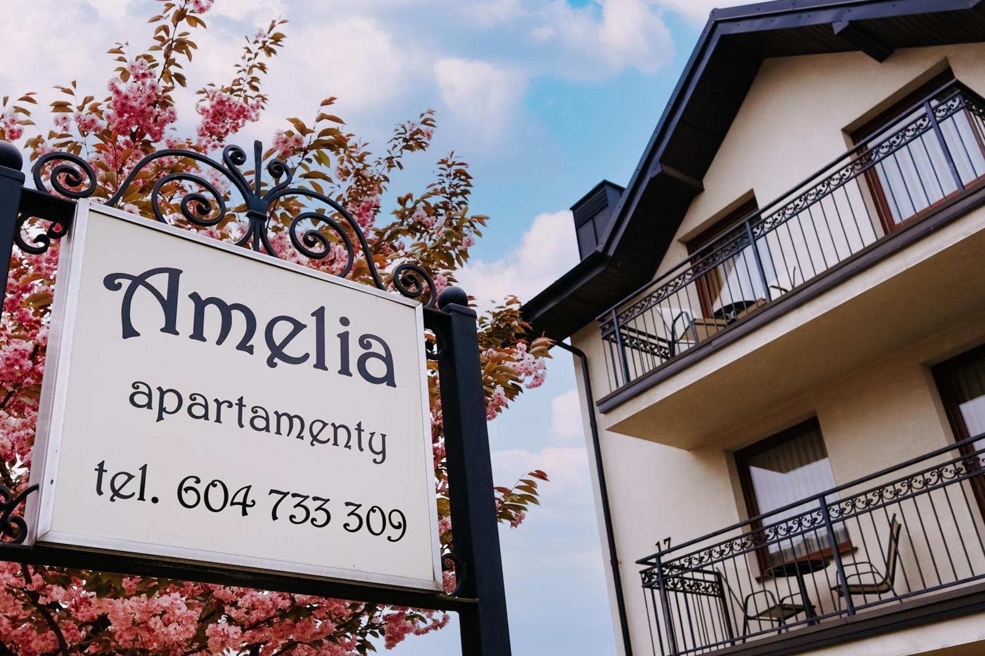 Amelia Apartamenty - Sala Zabaw, 2 Sypialnie, Garaz Podziemny Владыславово Экстерьер фото